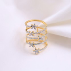 Anillo Constelación